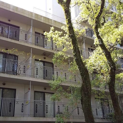 ルフォンT平之町 公園のすぐとなりに佇むおしゃれなマンション