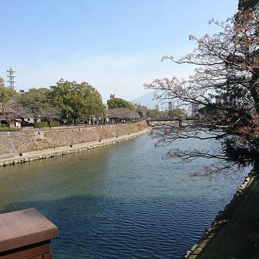 甲突川沿岸 歩いてすぐ、春には満開の桜が美しい名所です