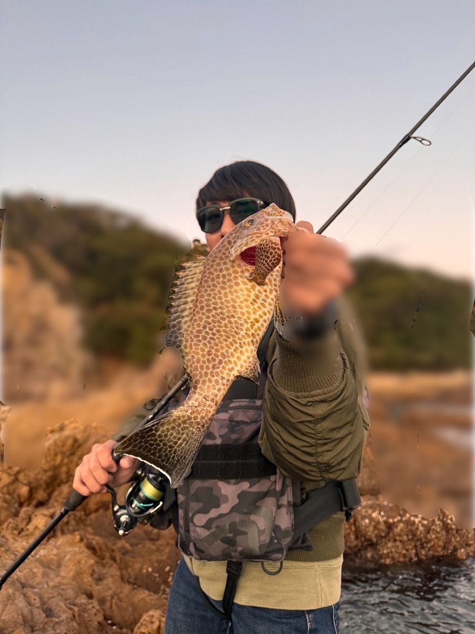 ロックフィッシュ(根魚)も釣ります