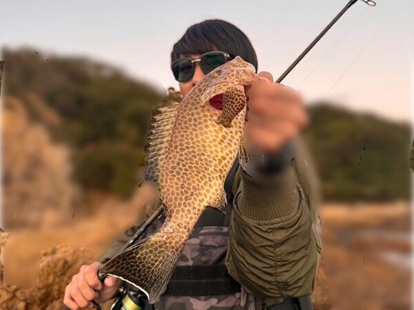 ロックフィッシュ(根魚)も釣ります